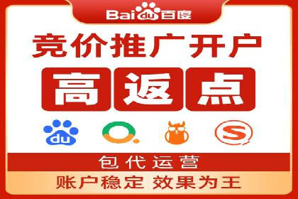 某行业领军企业的SEM广告投放策略